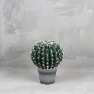 CACTUS LA BOLA 25