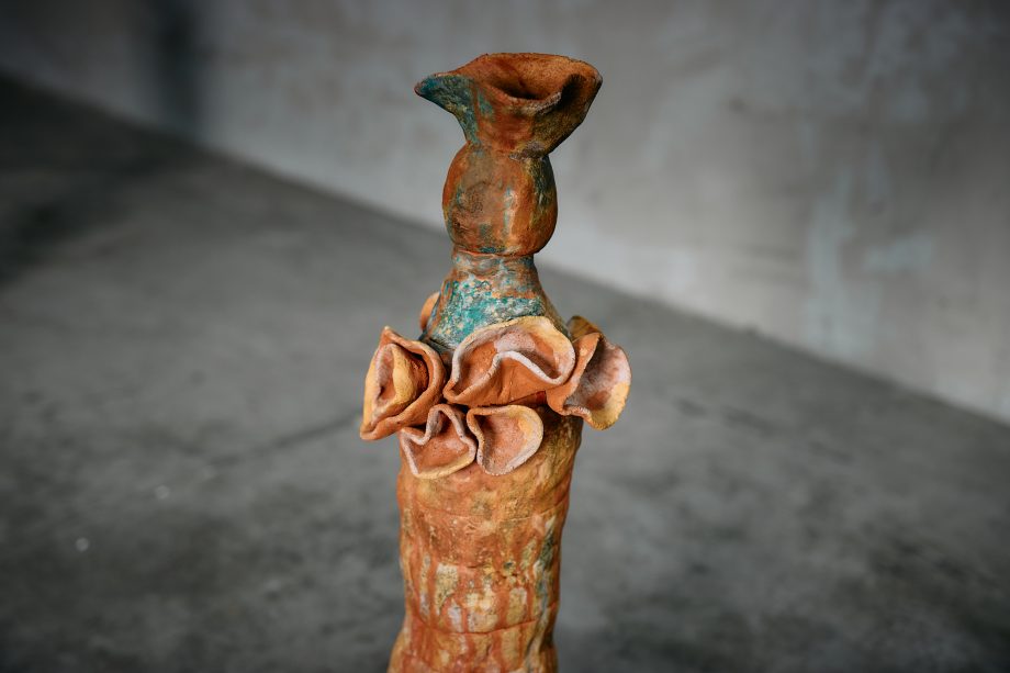 Anemona Flores