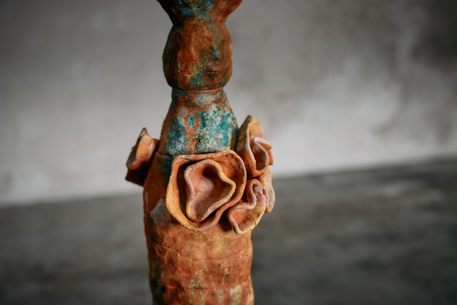 Anemona Flores