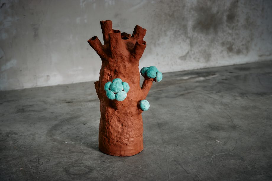 Gorgonia Rosada con Burbujas
