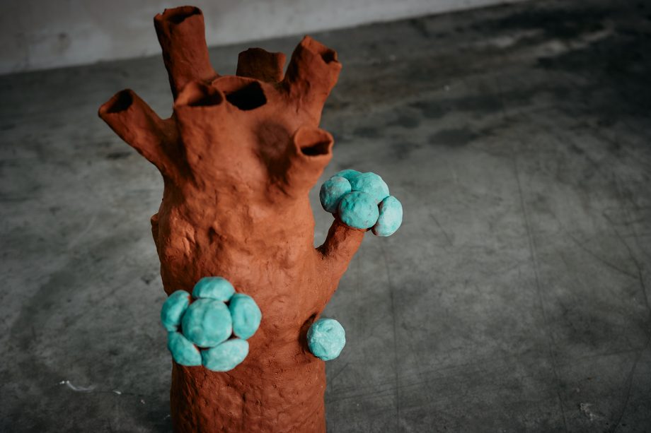 Gorgonia Rosada con Burbujas