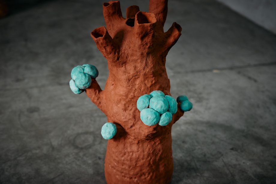 Gorgonia Rosada con Burbujas