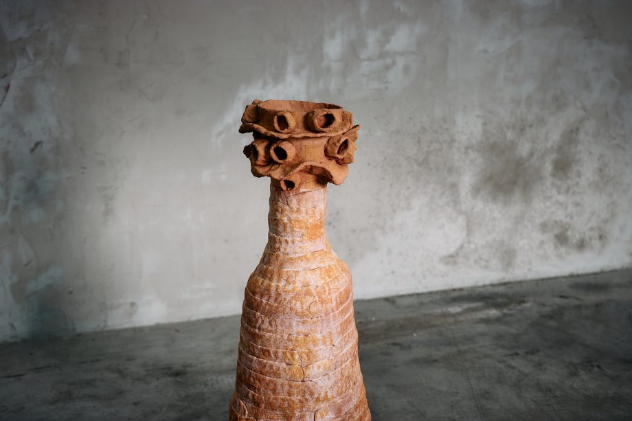 Branquio Picoroco