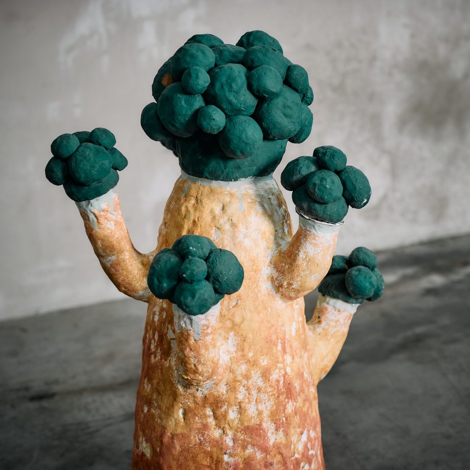 Gorgonia Celeste con Burbujas